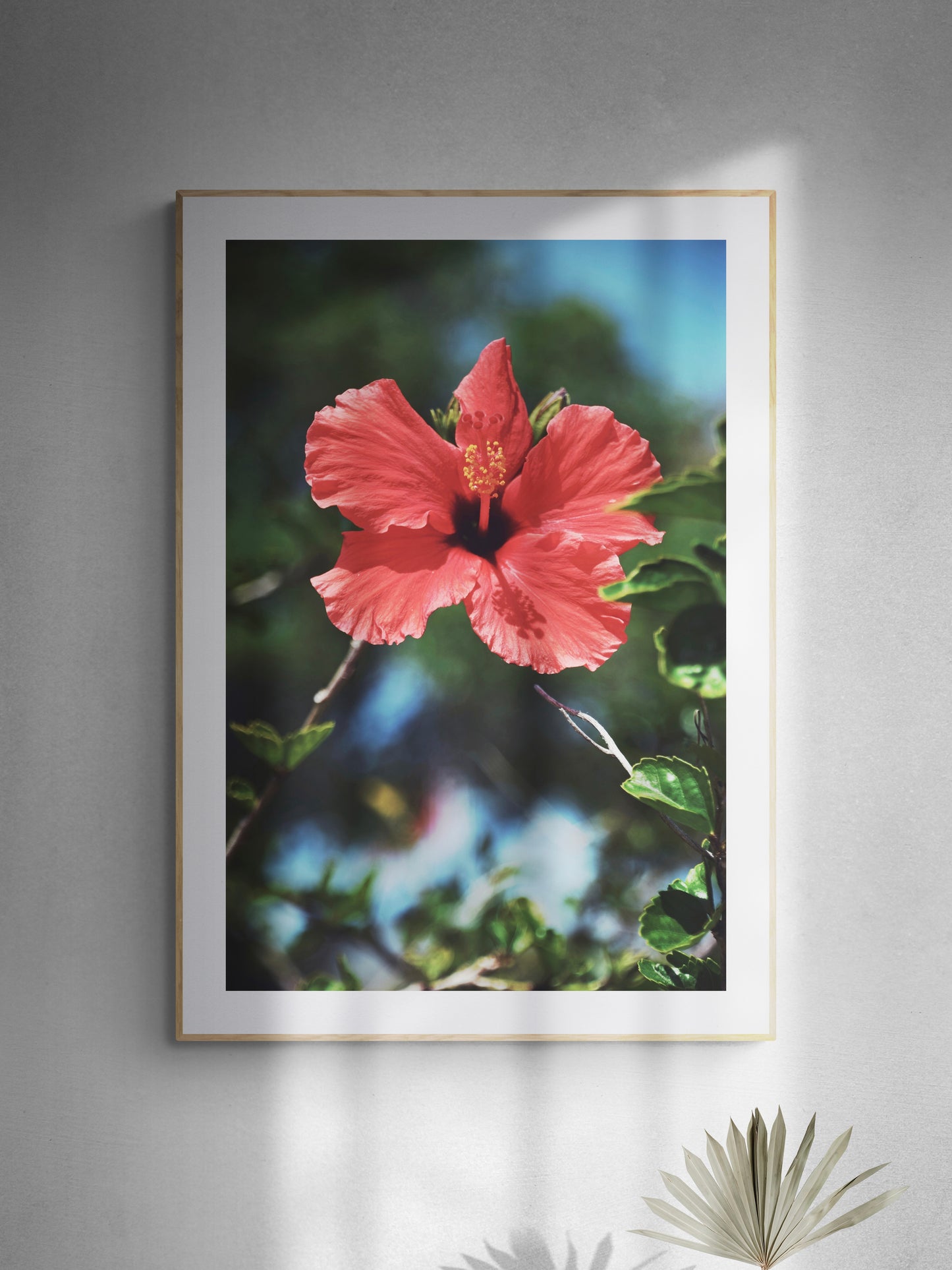 Lost In Hibiscus