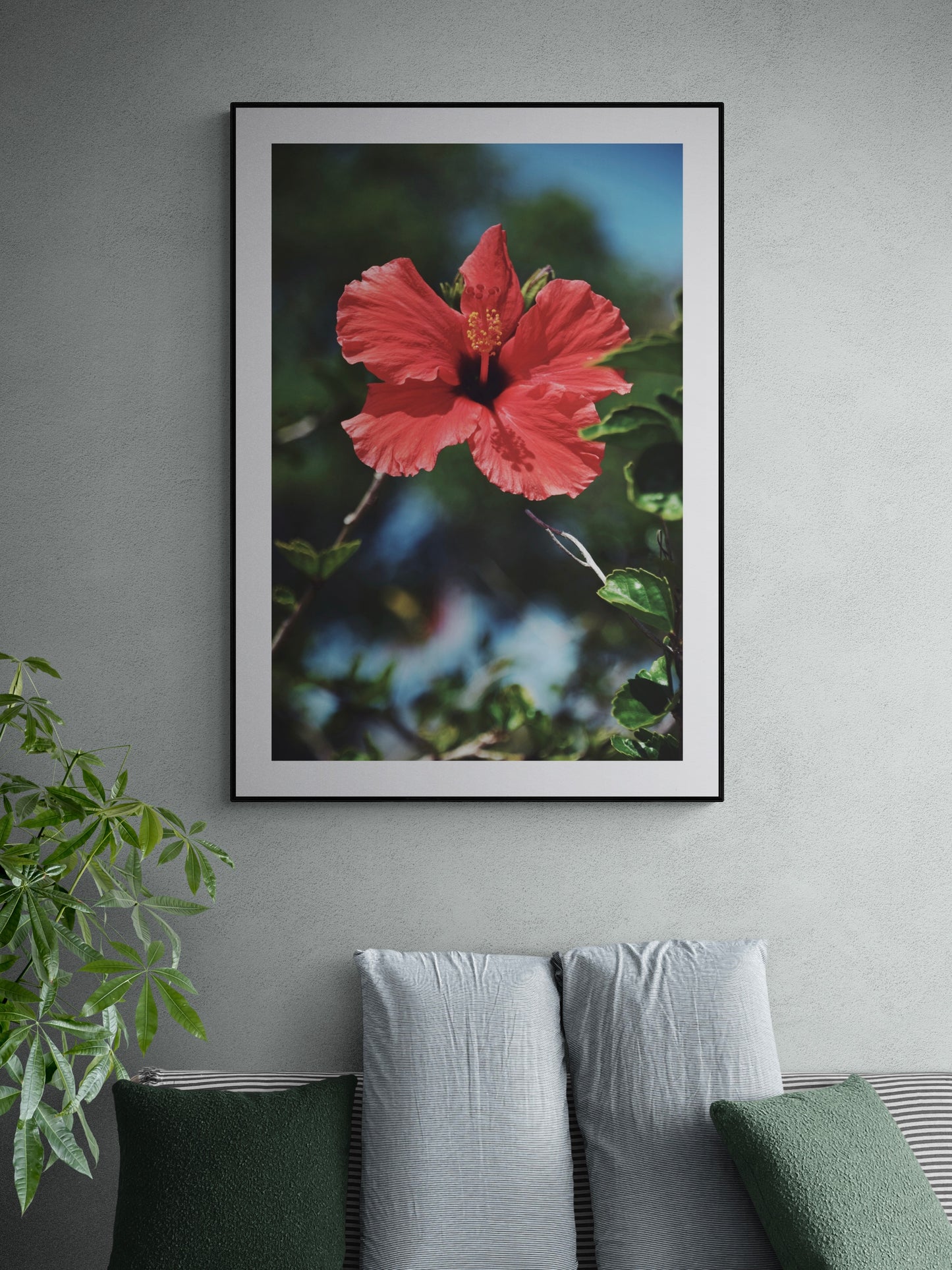 Lost In Hibiscus