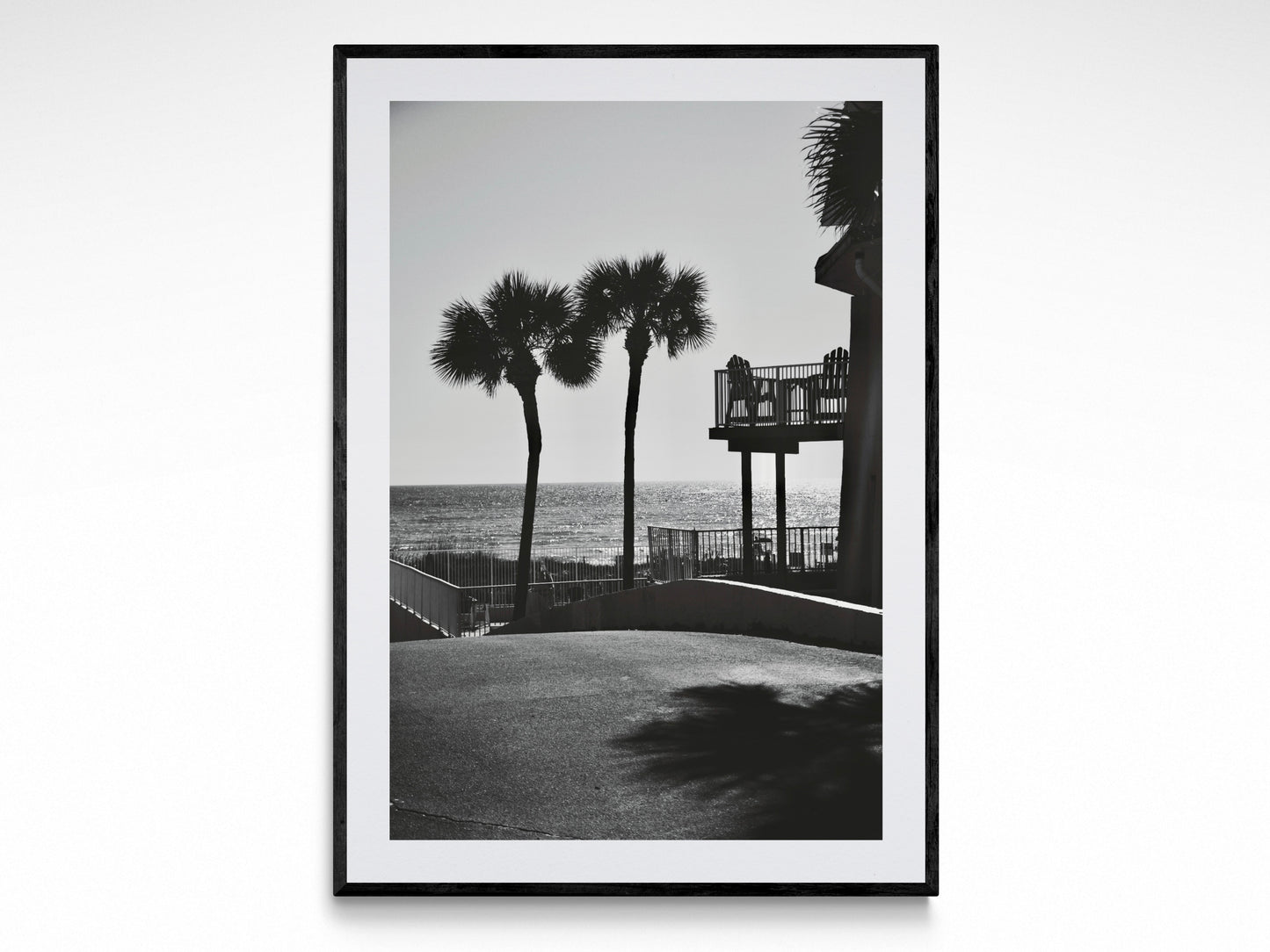 Panama City Palms