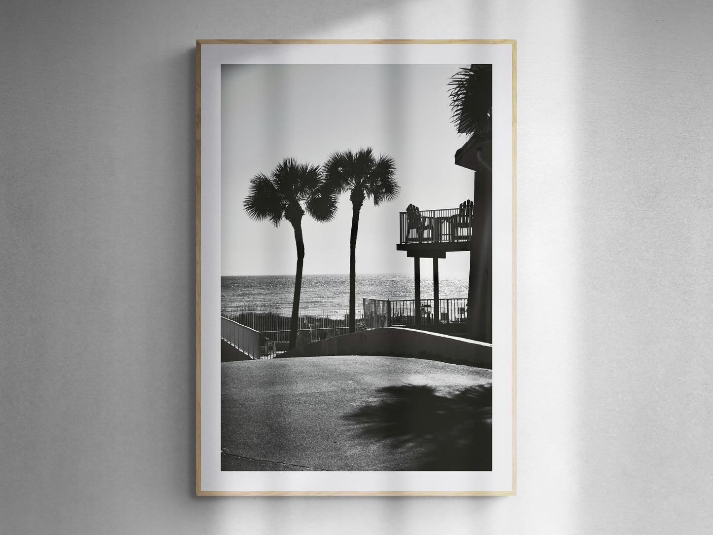 Panama City Palms