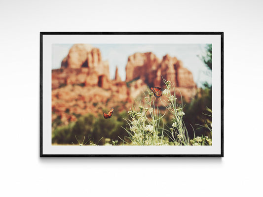 Sedona Arizona Summer