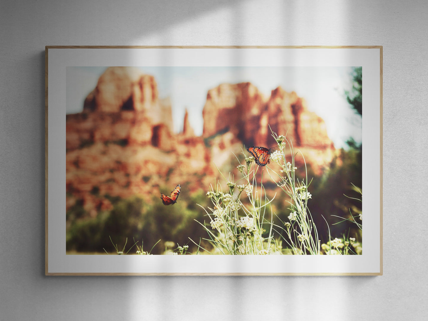 Sedona Arizona Summer