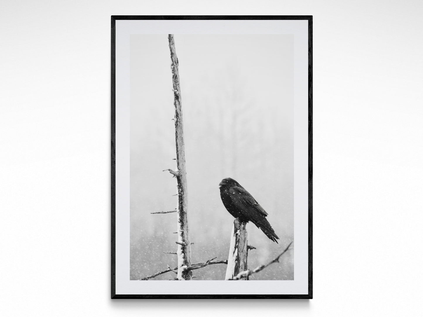 Black and white fine art print of a bird perched on a tree in a snowy landscape, capturing nature's beauty.