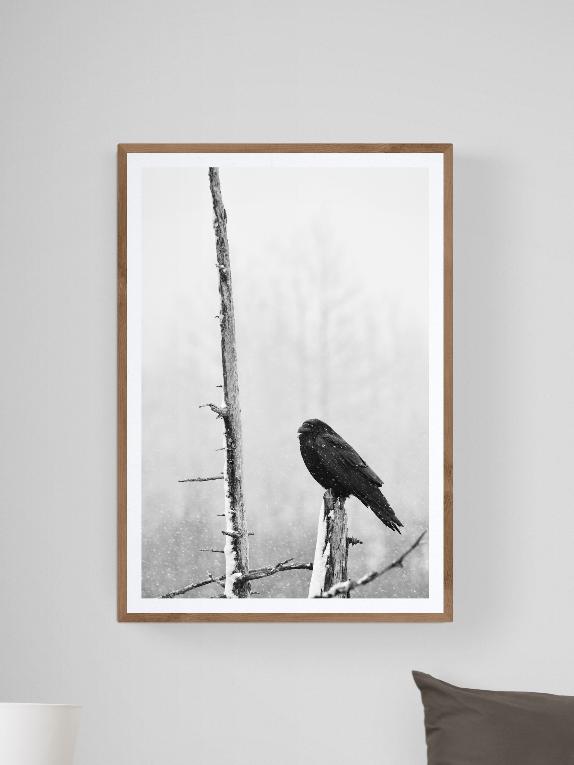 Black bird perched on a branch in snowy landscape, captured in fine art photography by Jessica Joy.