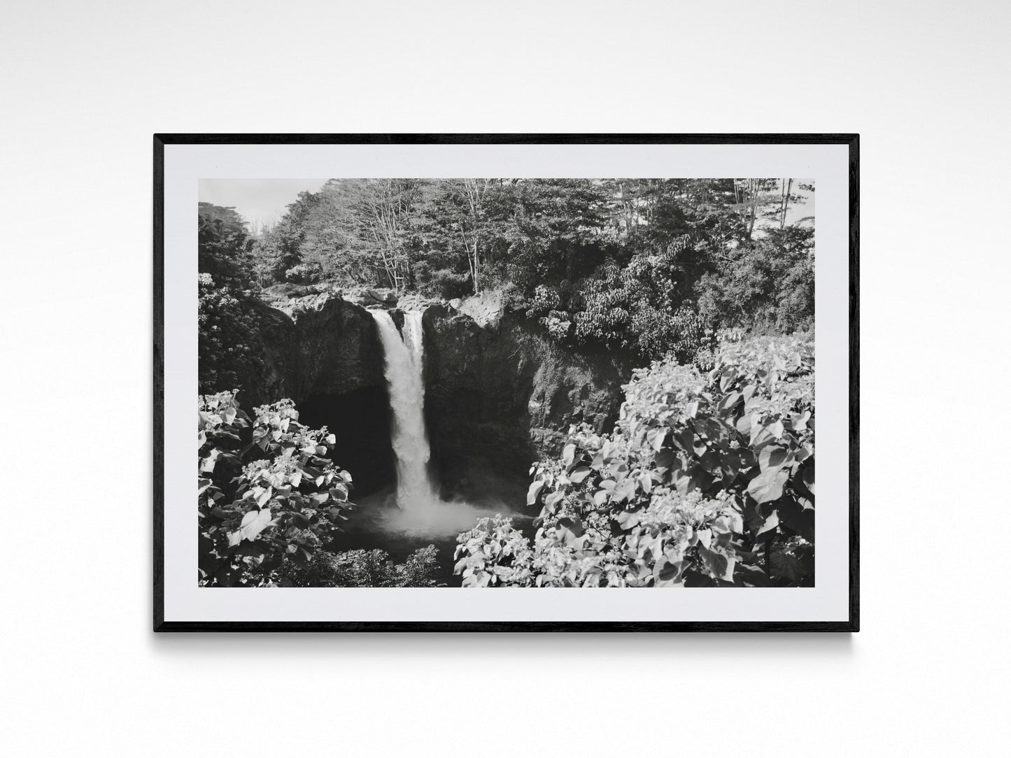 Tropical Hilo Waterfall