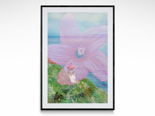 Makapu'u Point Flora