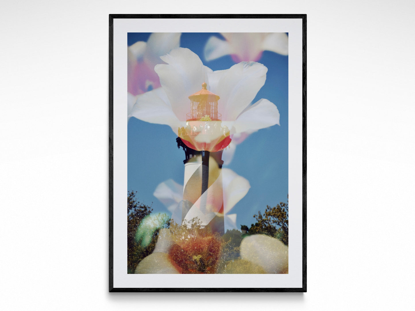 St Augustine In Bloom