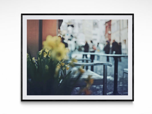 Zurich Switzerland Streets