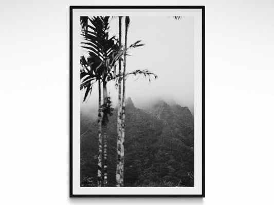 Oahu Fog