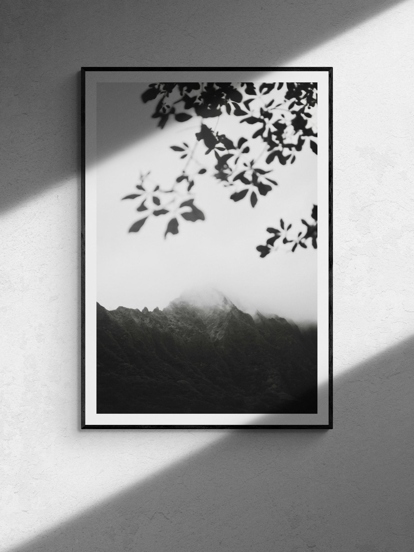 Foggy Oahu Mountains