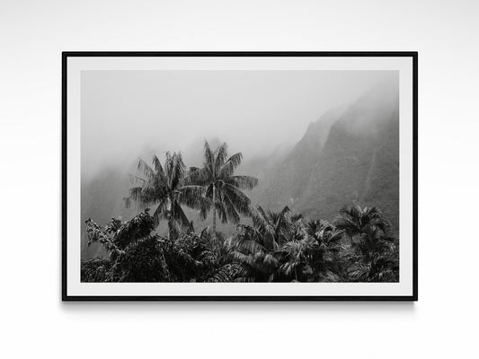 Tropical Vintage Palm