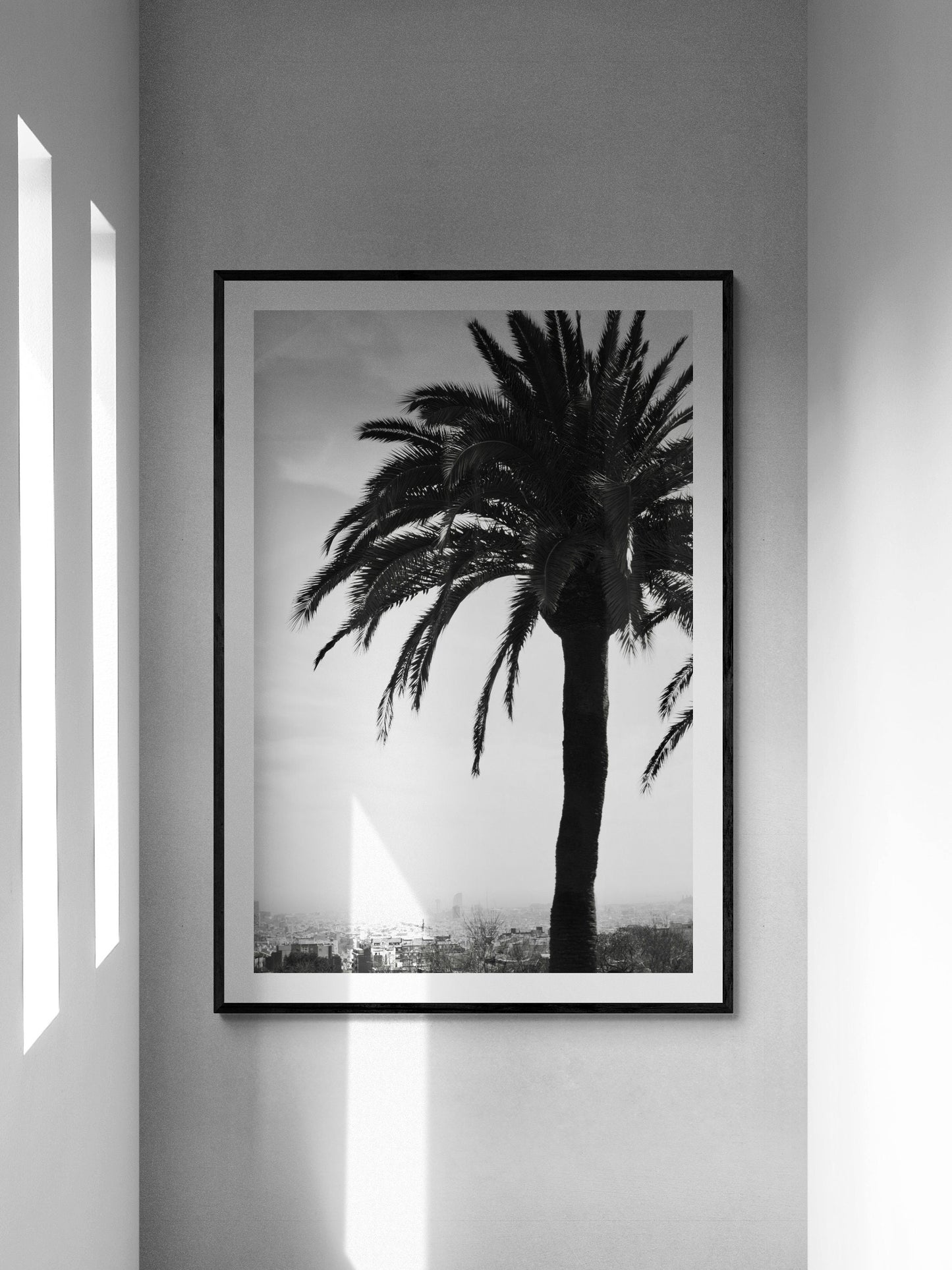 Barcelona Spain Palm