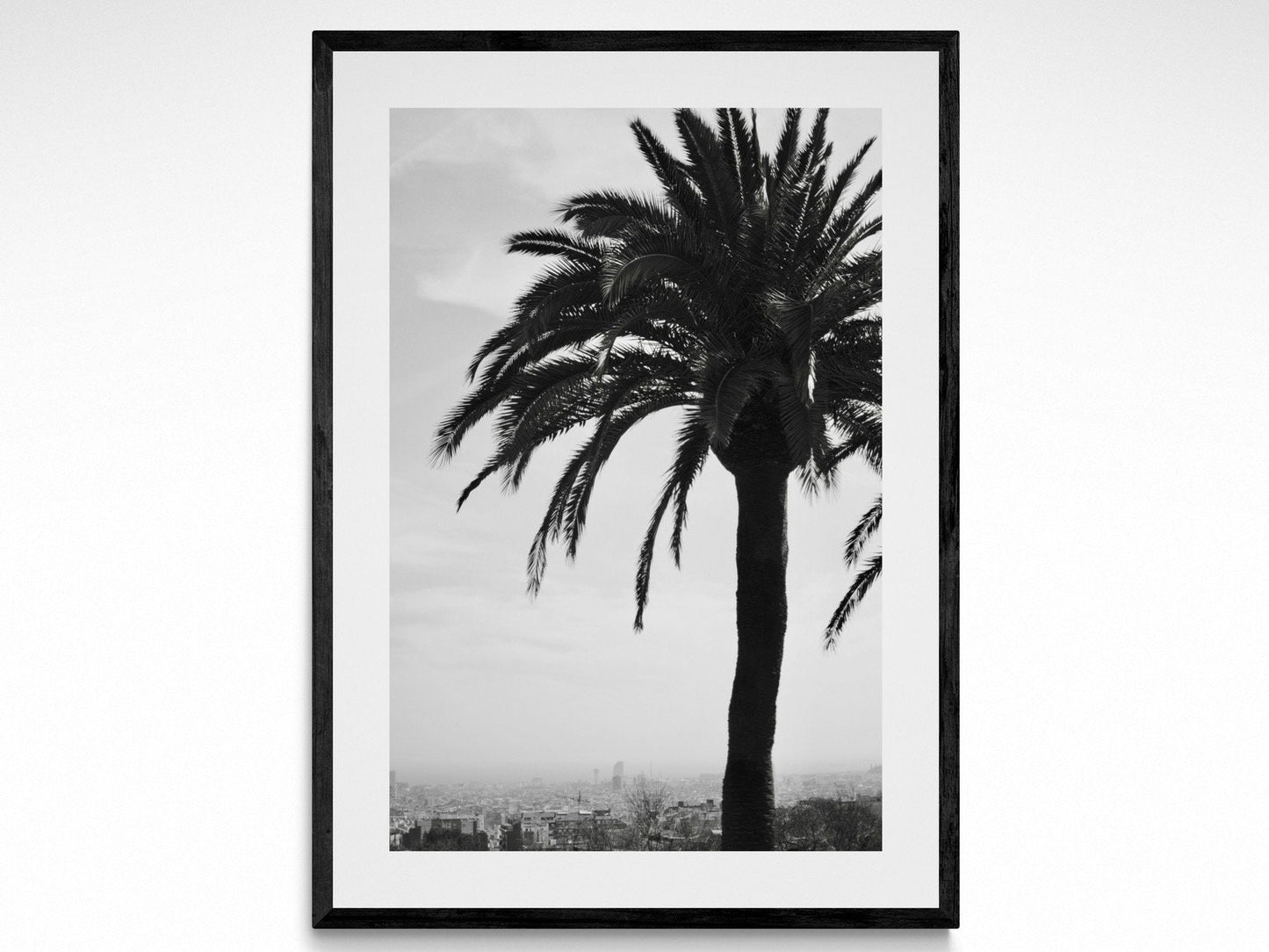 Barcelona Spain Palm