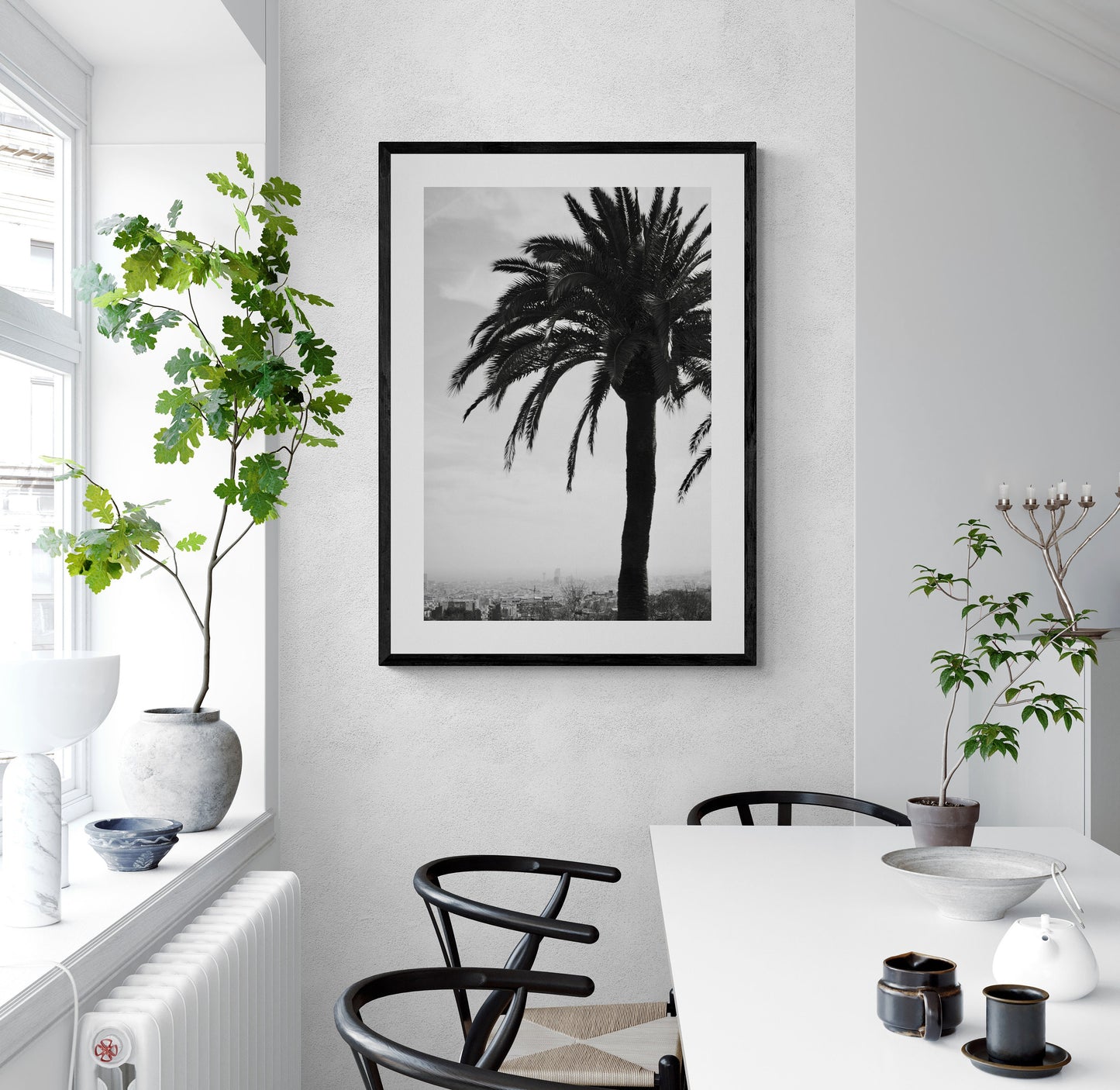 Barcelona Spain Palm