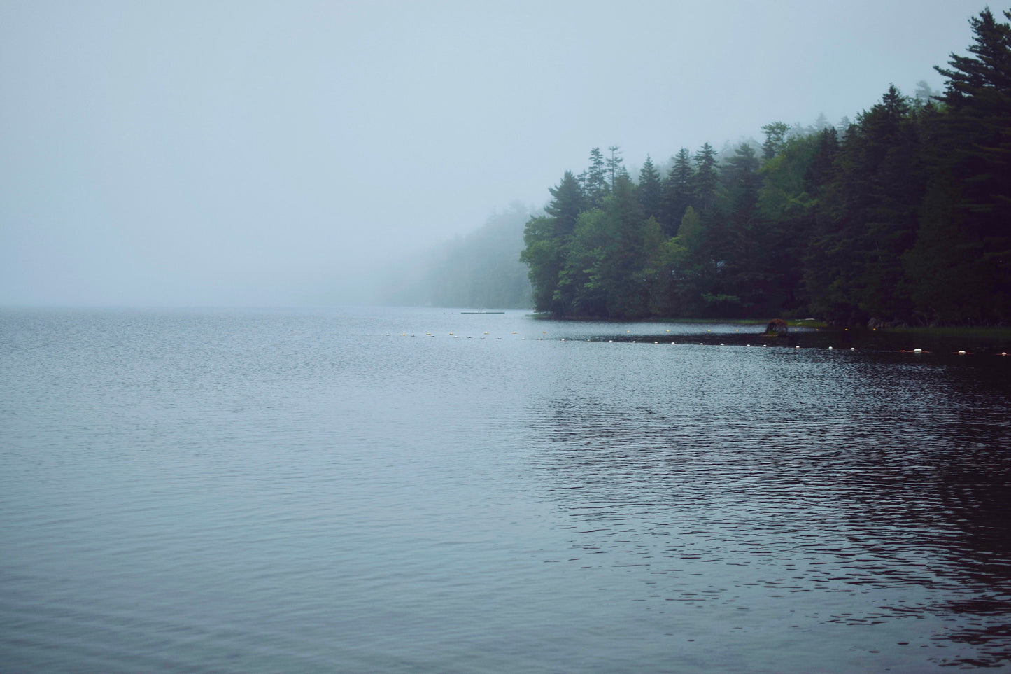 Echo Lake Fog