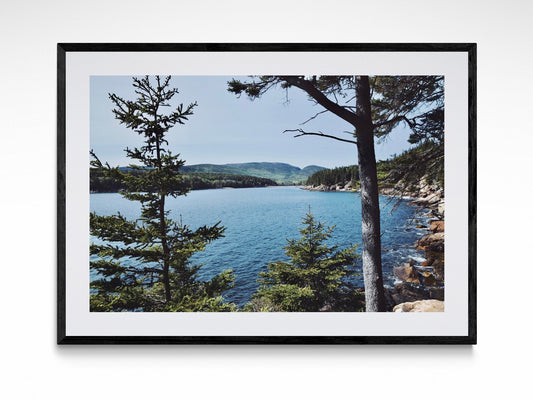 Acadia Summer Afternoon