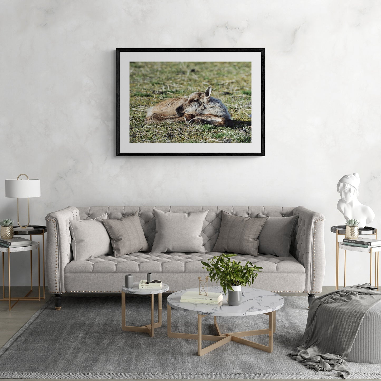 Sleeping Baby Caribou Fine Art Print