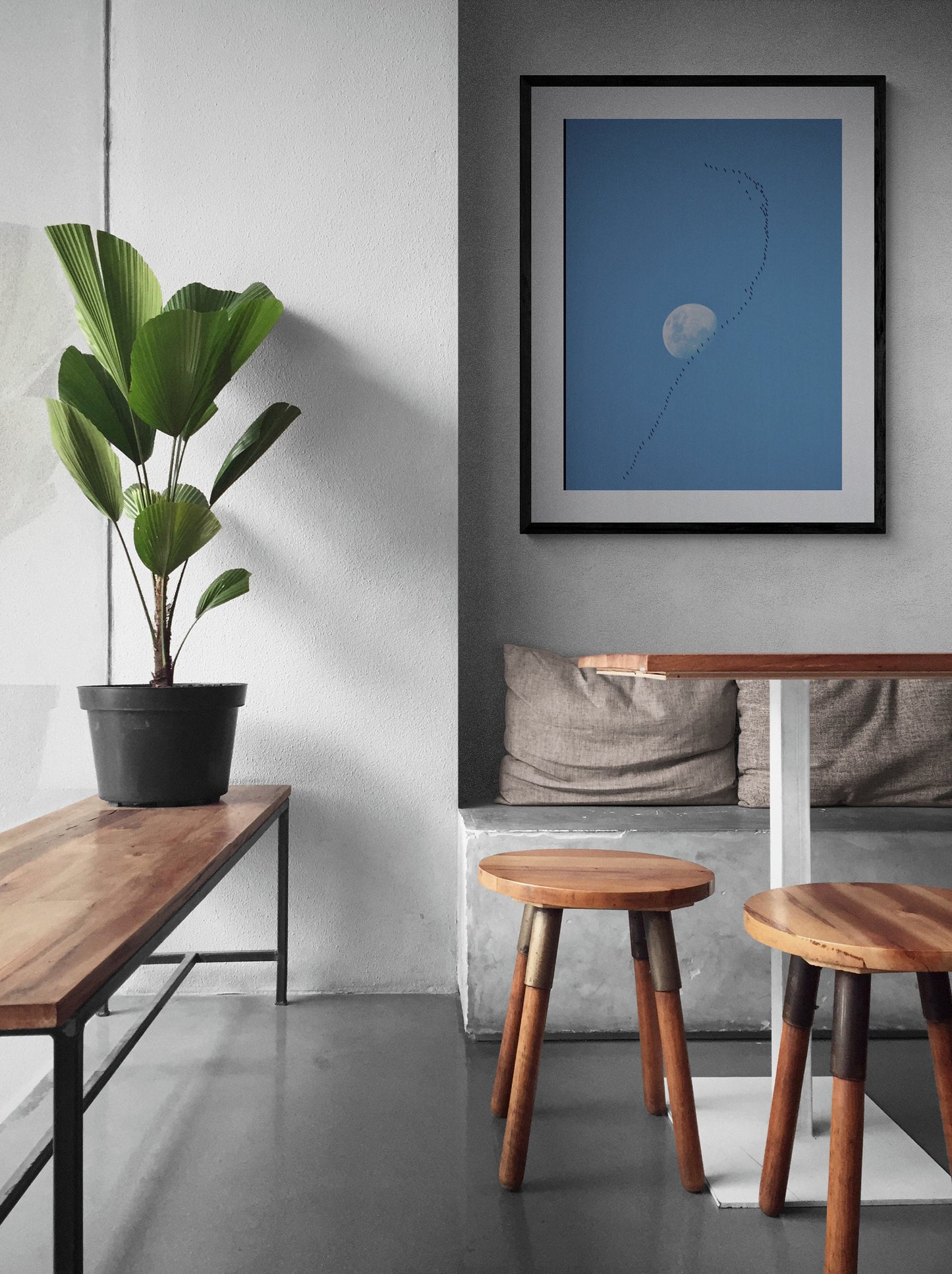 Fly Over The Moon
