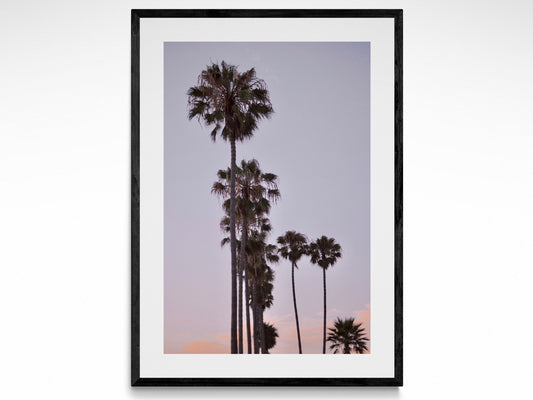 Vintage San Diego Sunset