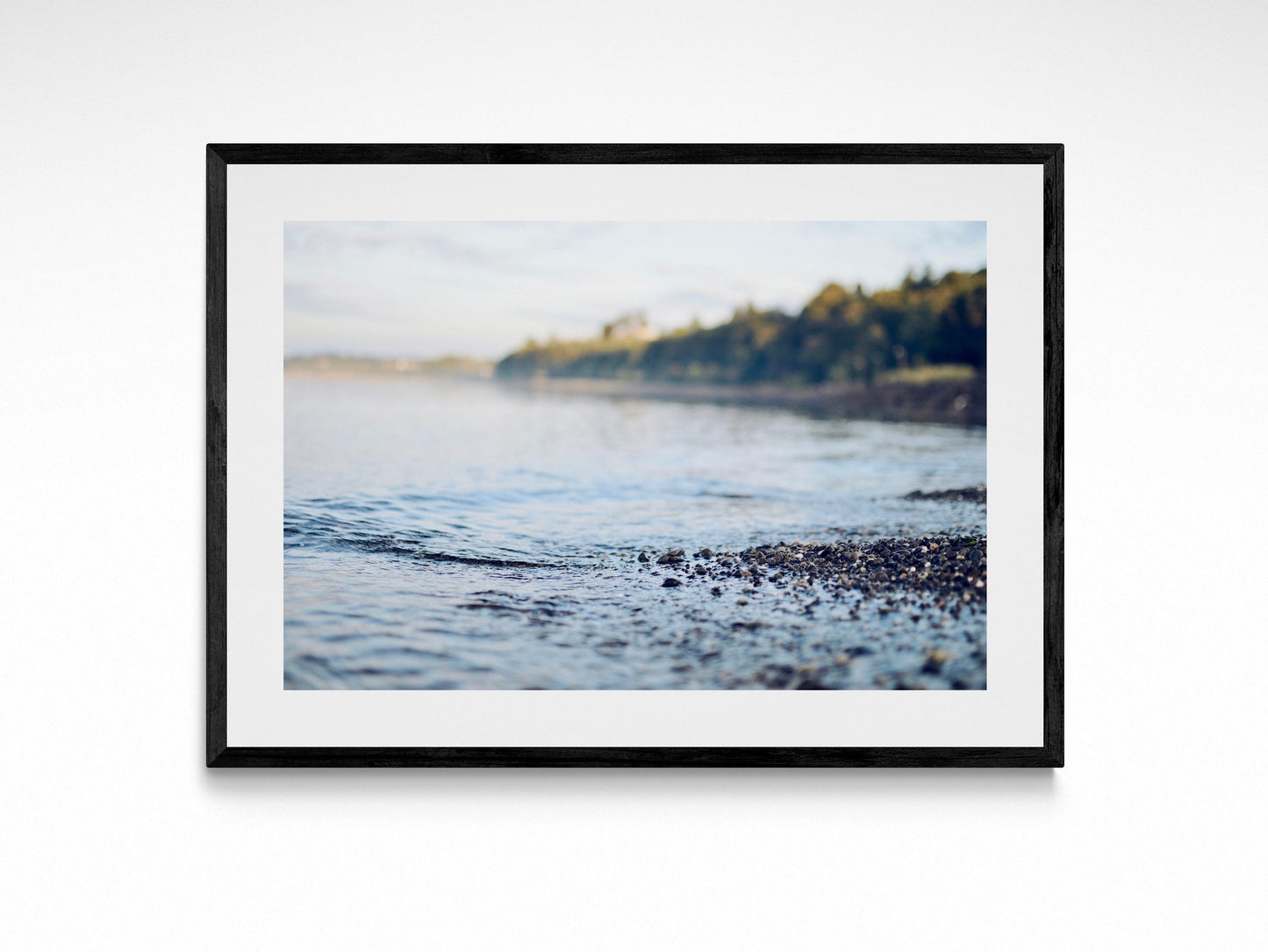 Washington Sea Mist
