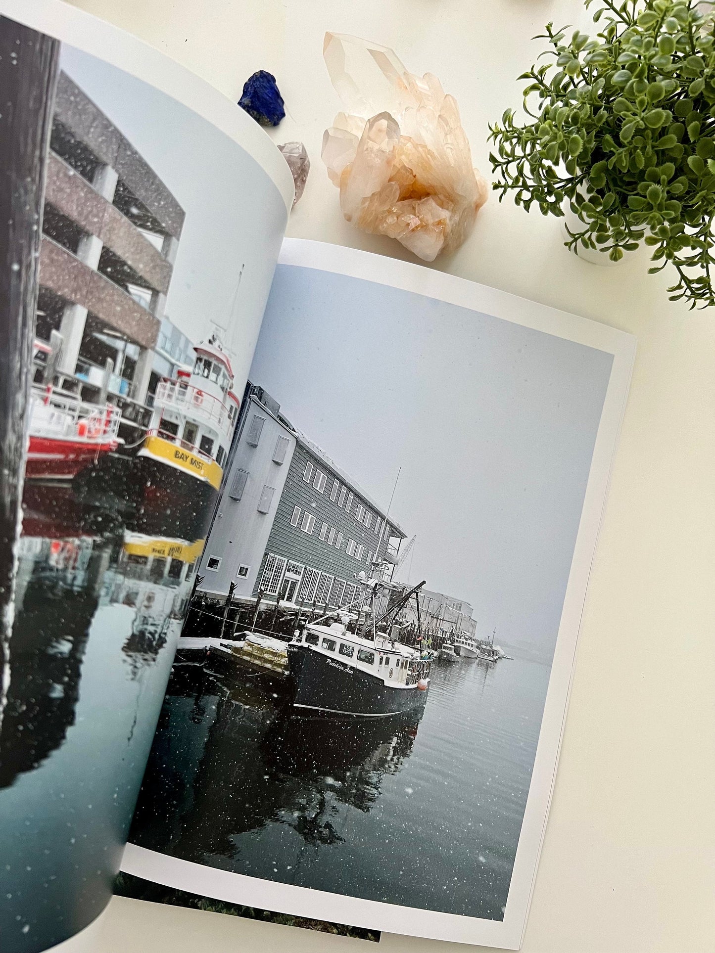 Echoes Of The Atlantic: A Visual Celebration Of Maine's Coast