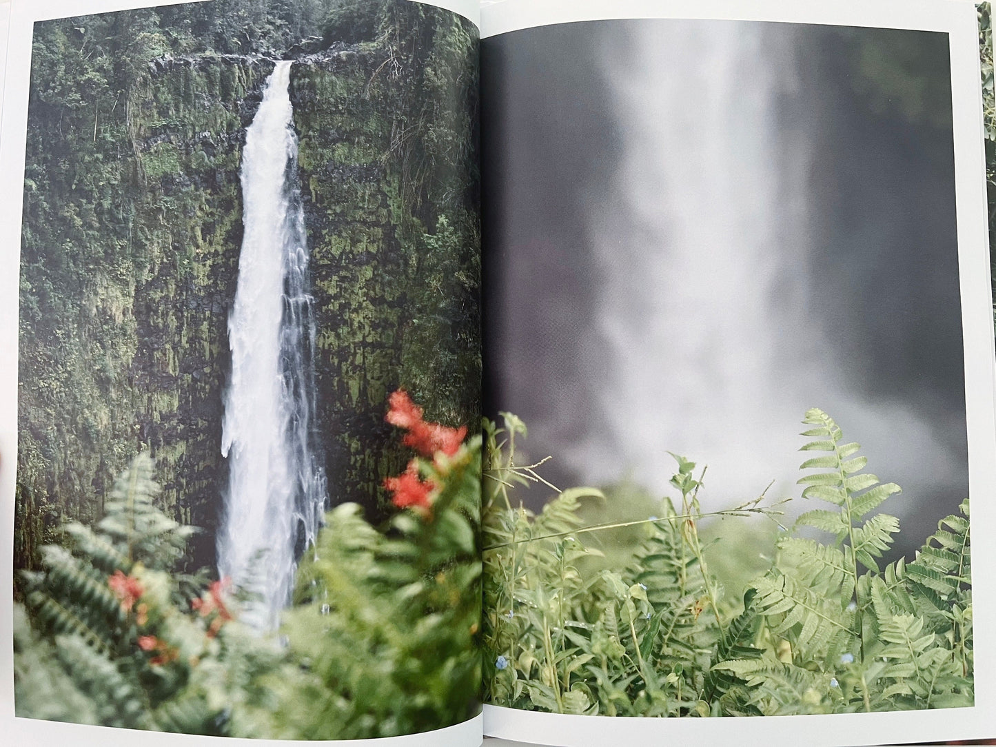 The Stillness Within: A Visual Meditation Journey