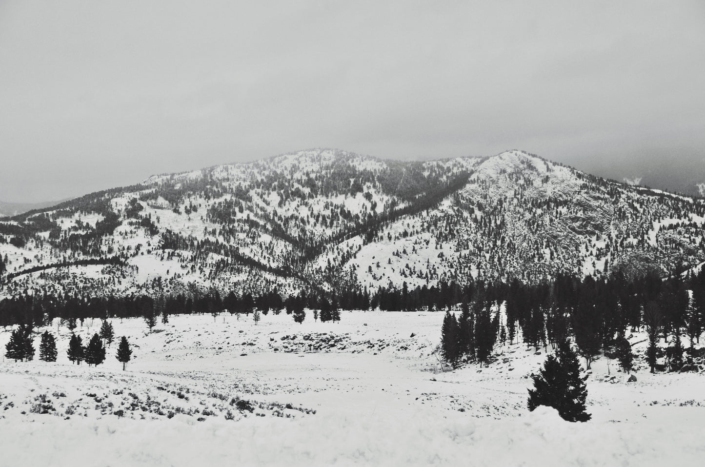 Snow Drift