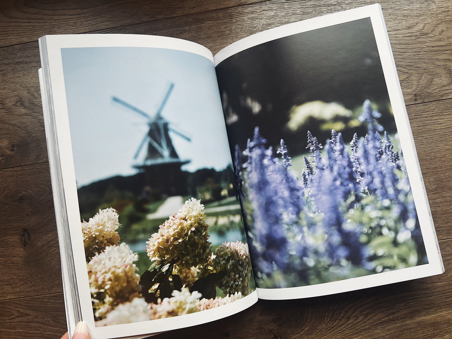 Lake Michigan Shores: A Summer Fine Art Collection | Coffee Table Photography Book By Jessica Joy