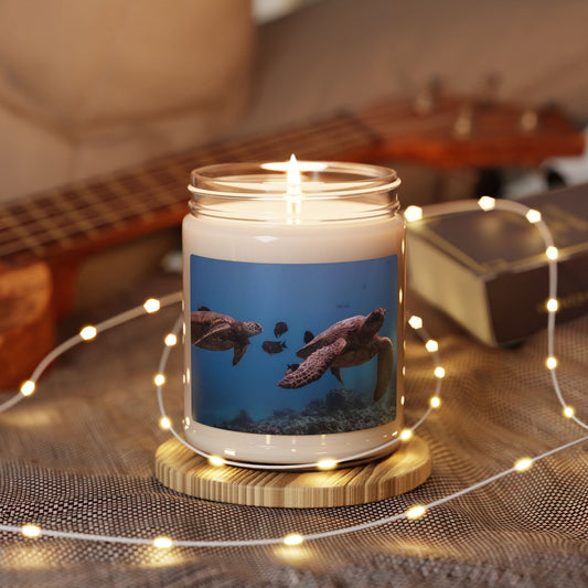 Sea Turtles Swimming Soy Candle