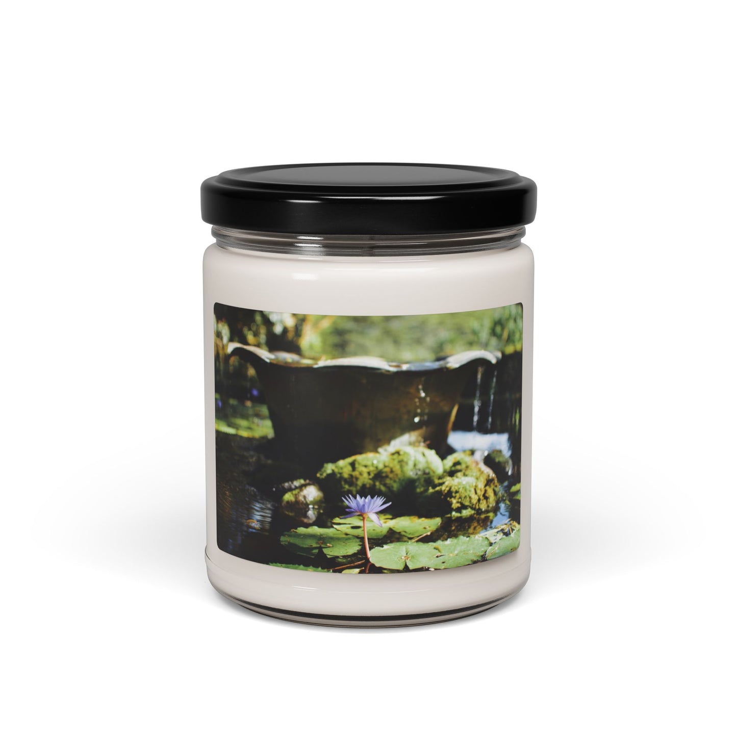 Tropical Zen Garden Soy Candle