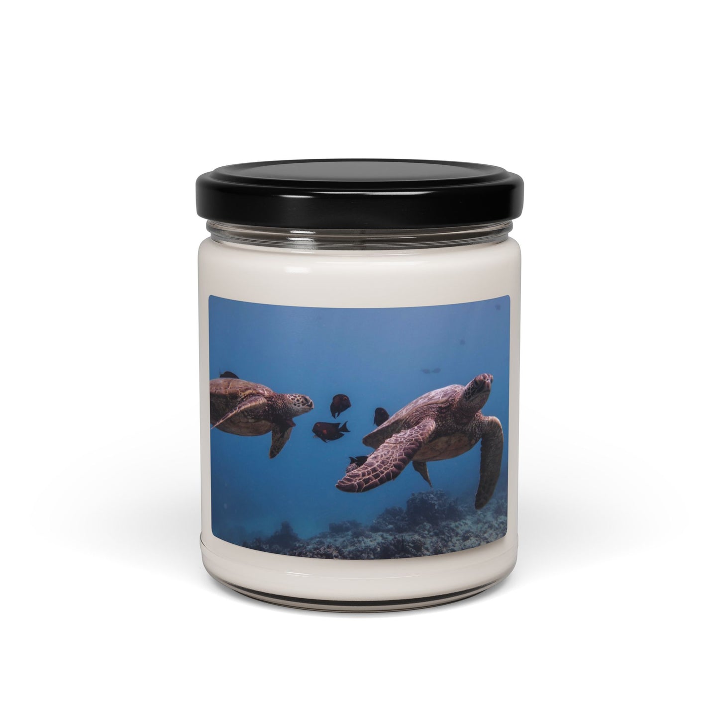 Sea Turtles Swimming Soy Candle