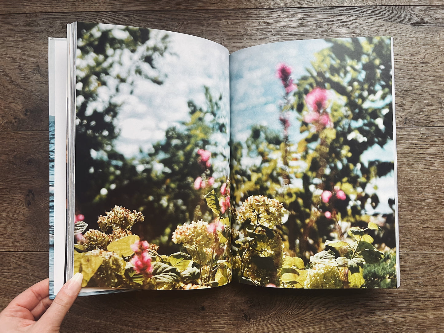 Lake Michigan Shores: A Summer Fine Art Collection | Coffee Table Photography Book By Jessica Joy