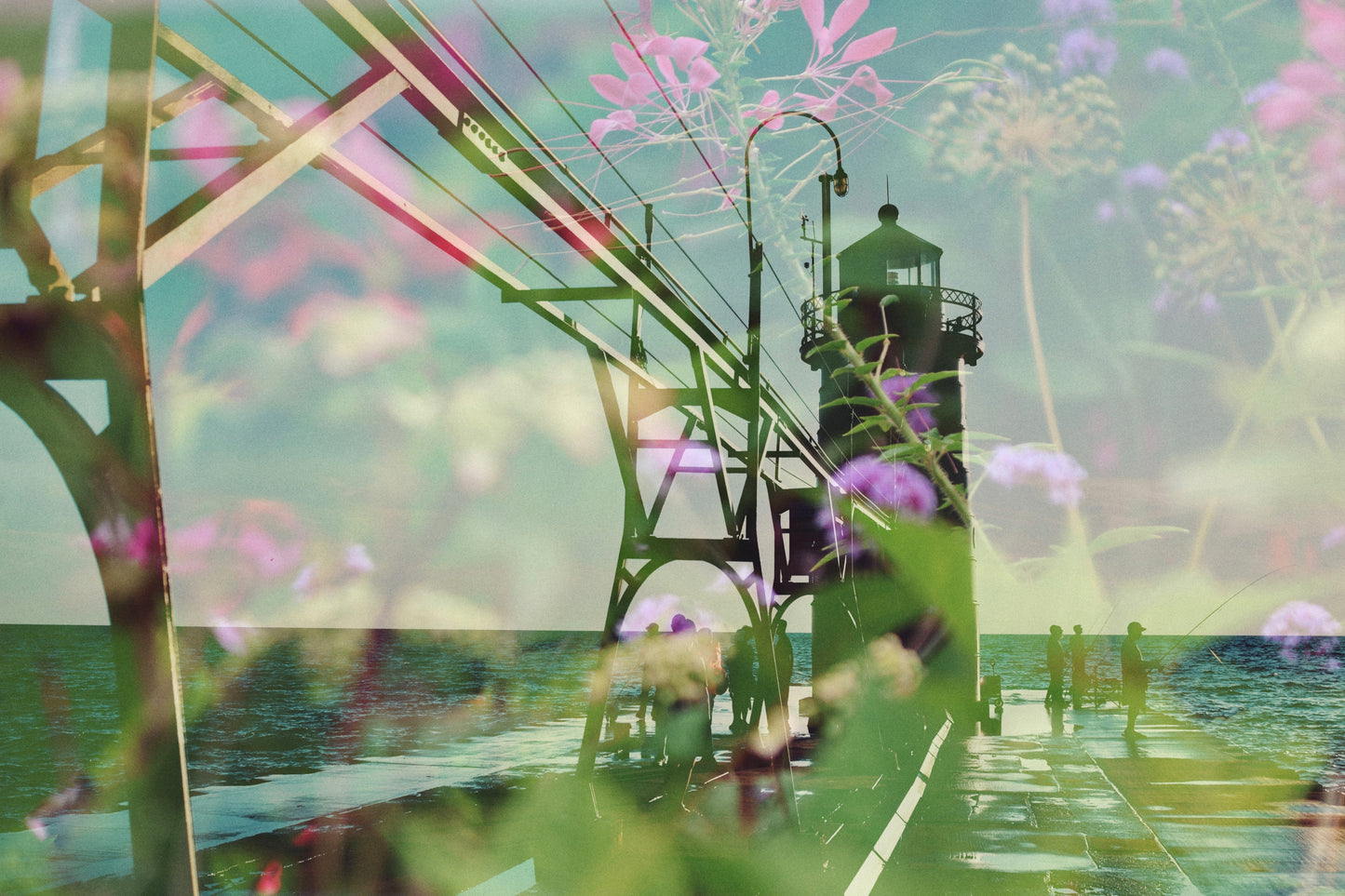 South Haven Summer
