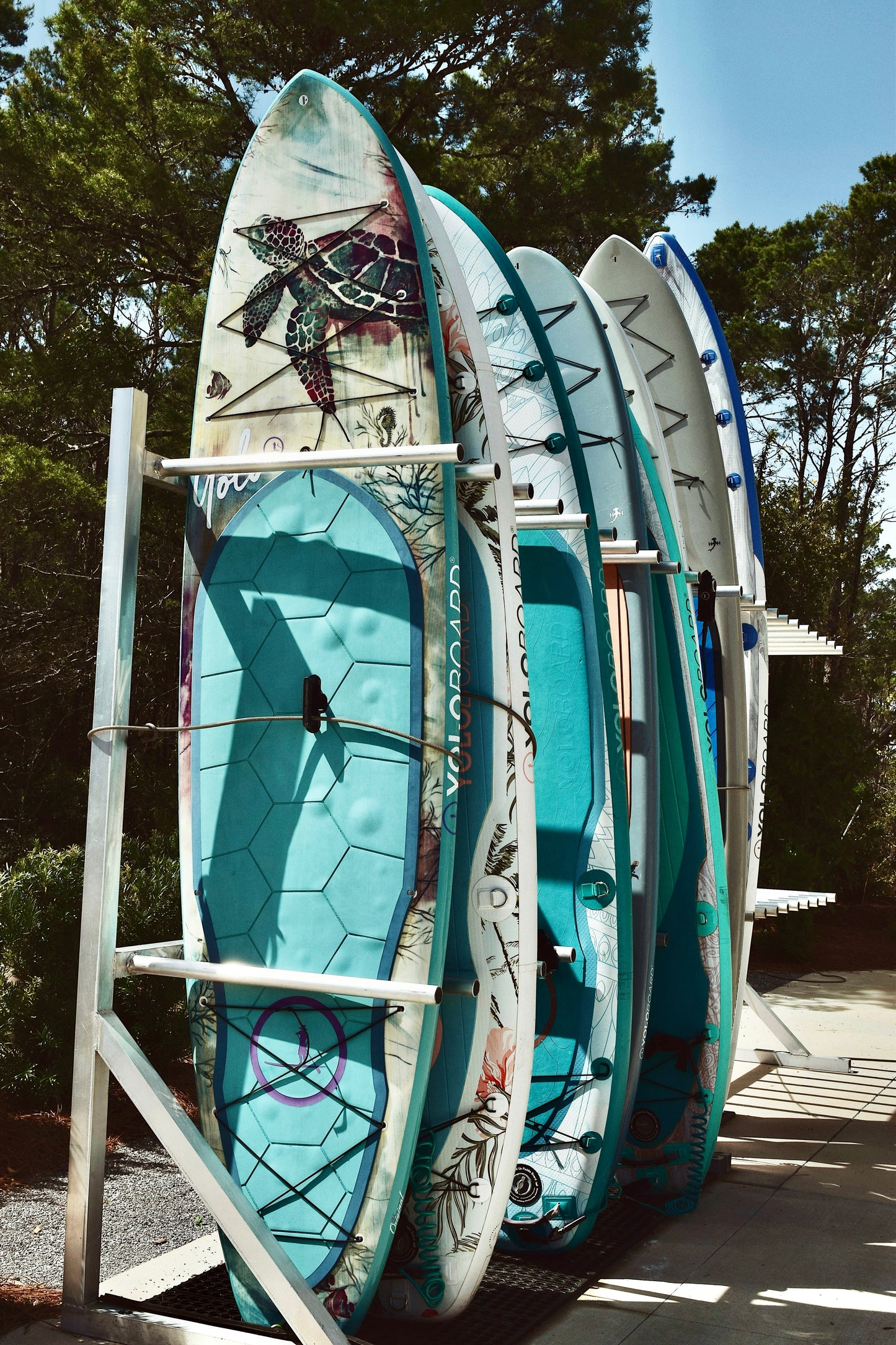 Surfs Up