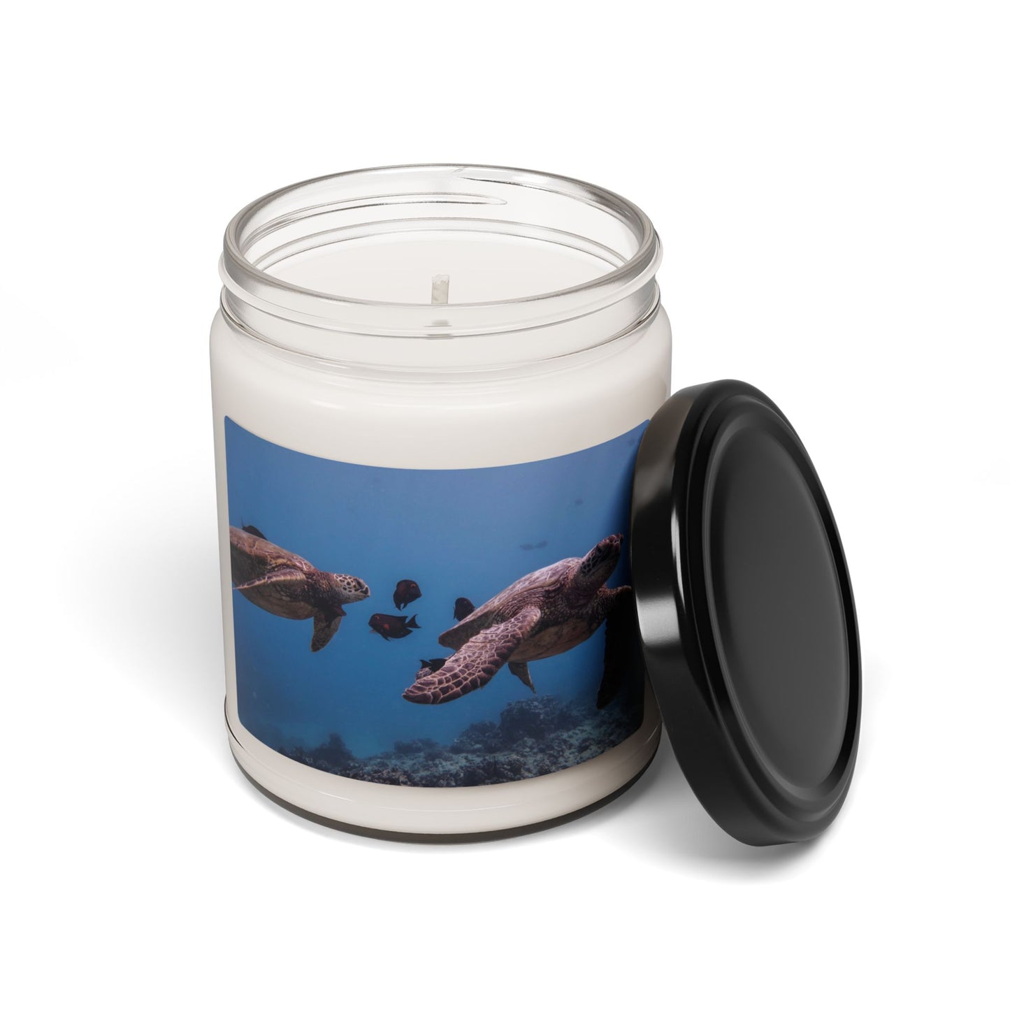 Sea Turtles Swimming Soy Candle