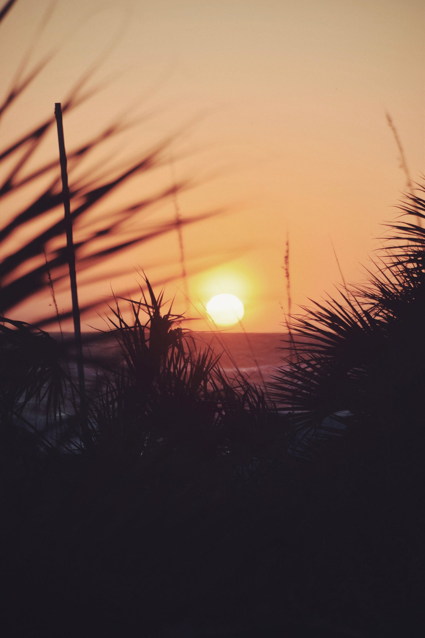 Sunset Calm