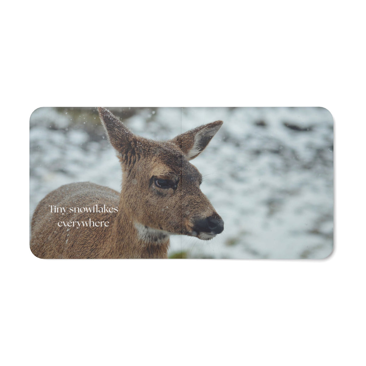 Alaska Sky: A Photography Book for Little Explorers