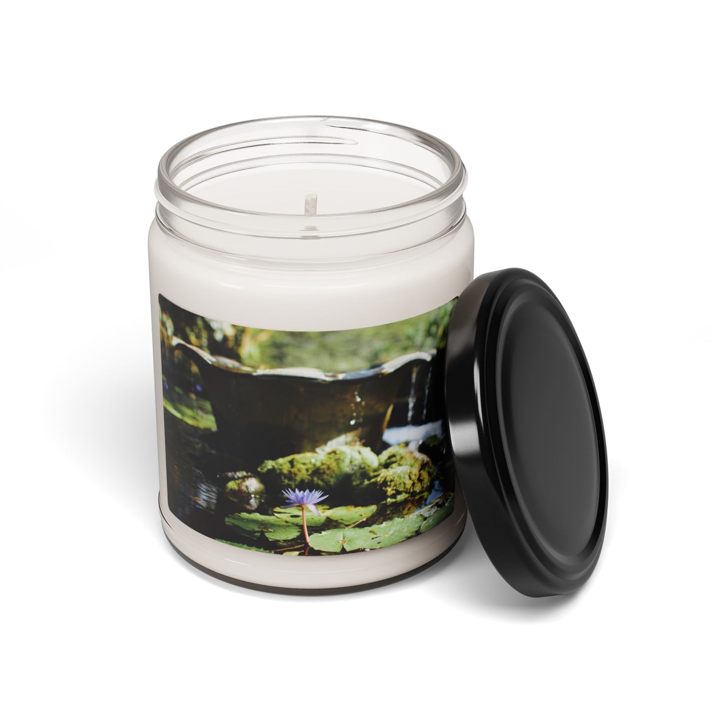 Tropical Zen Garden Soy Candle