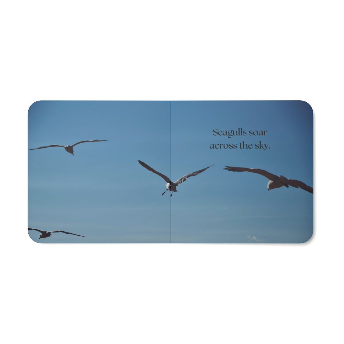 Lake Michigan: A Photography Book for Little Explorers