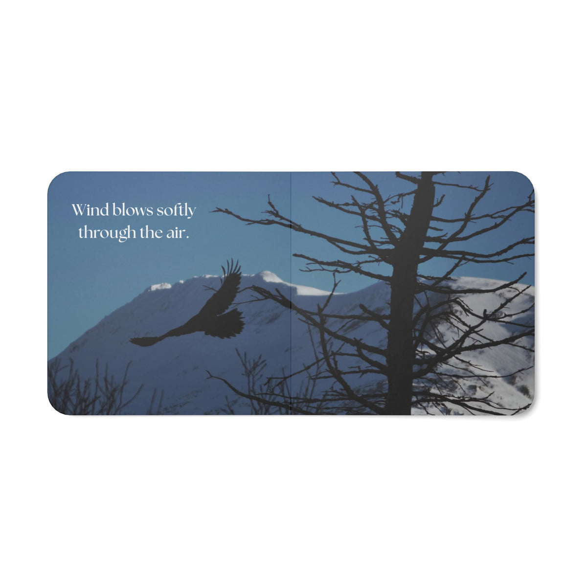 Alaska Sky: A Photography Book for Little Explorers