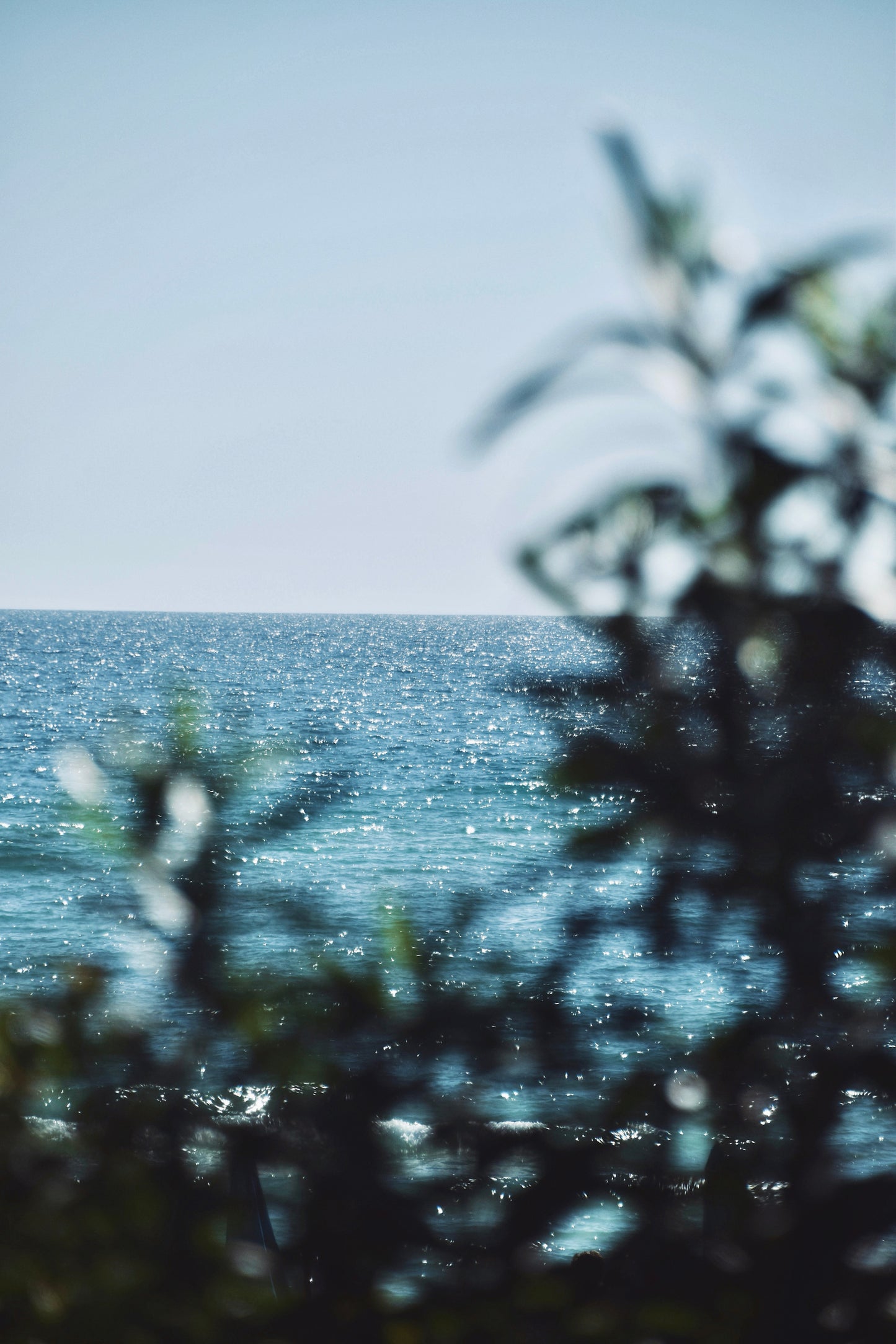Ocean Paradise