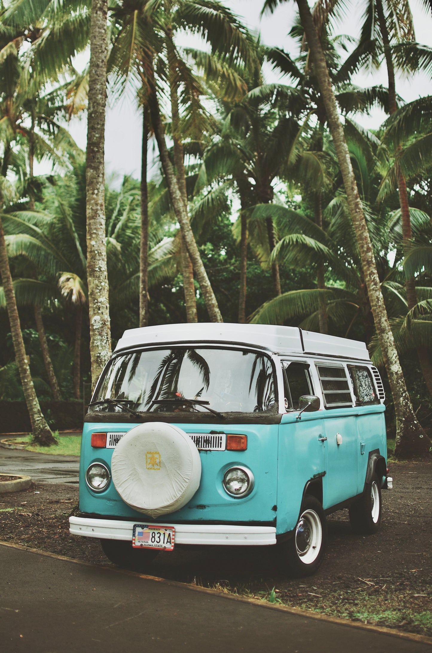 Vintage Island Van
