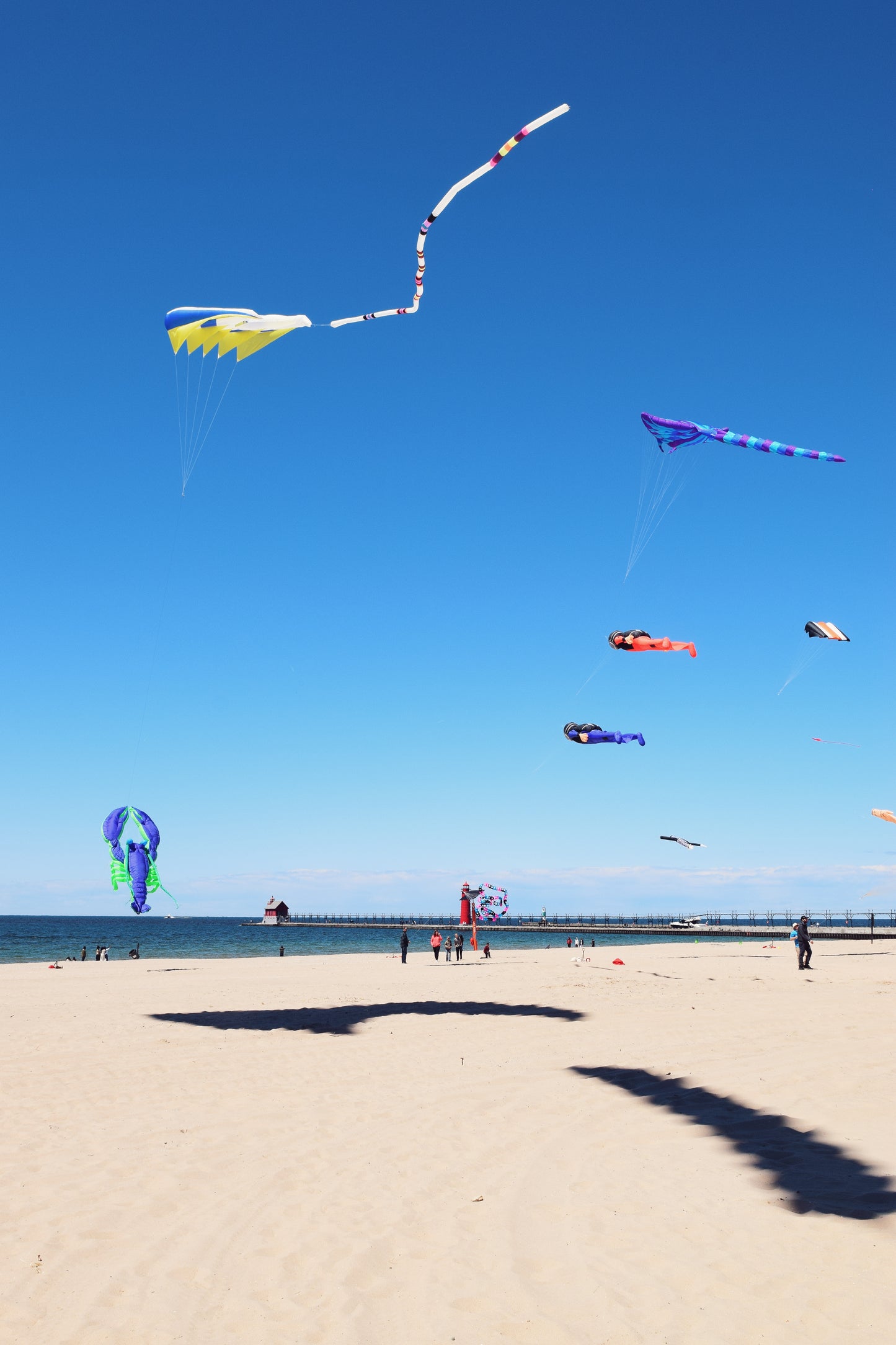 Kite Festival