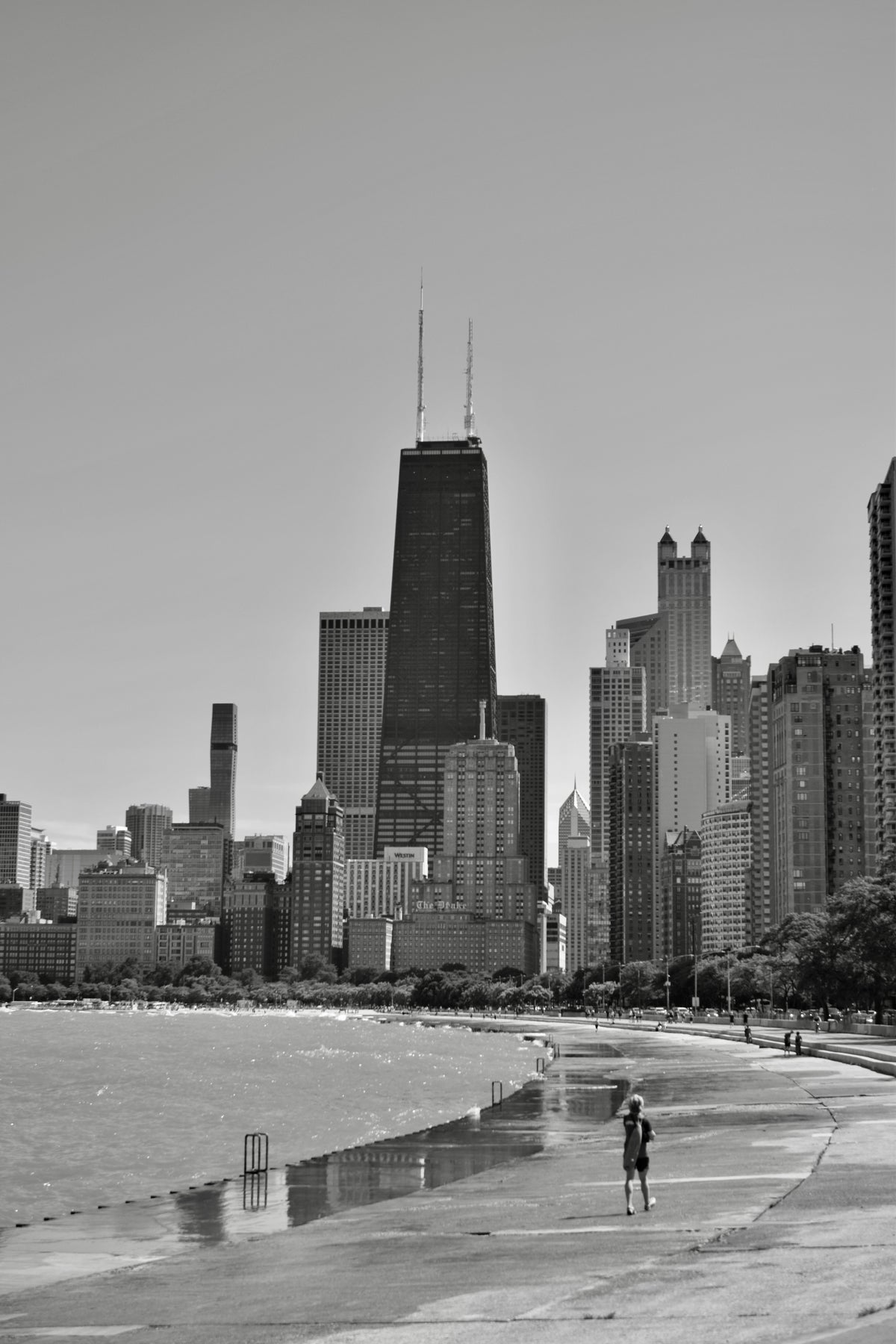 On the Waterfront