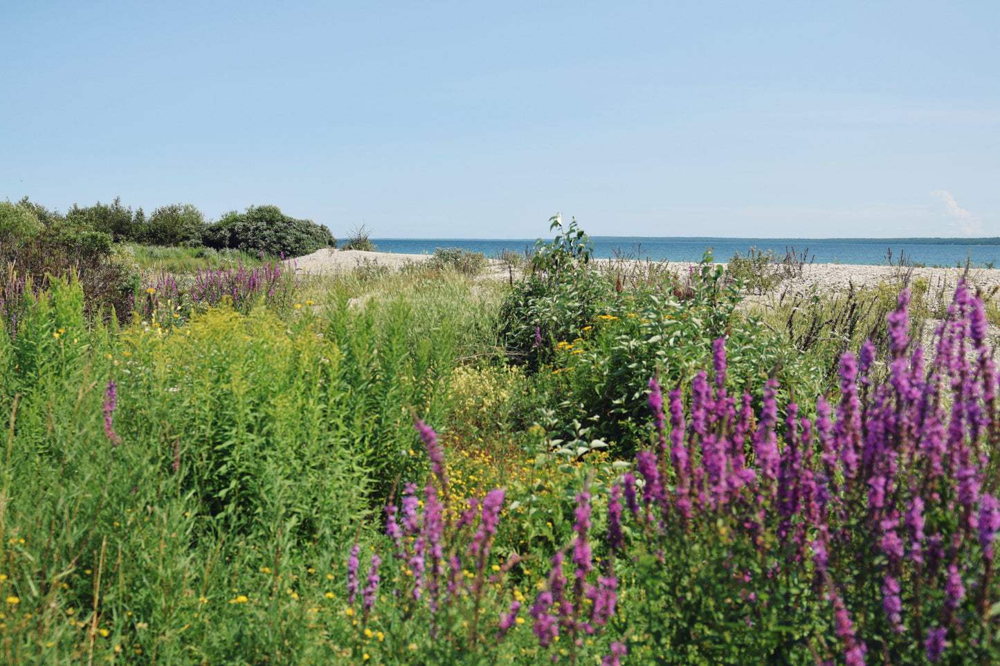 Mackinac Beach Escape