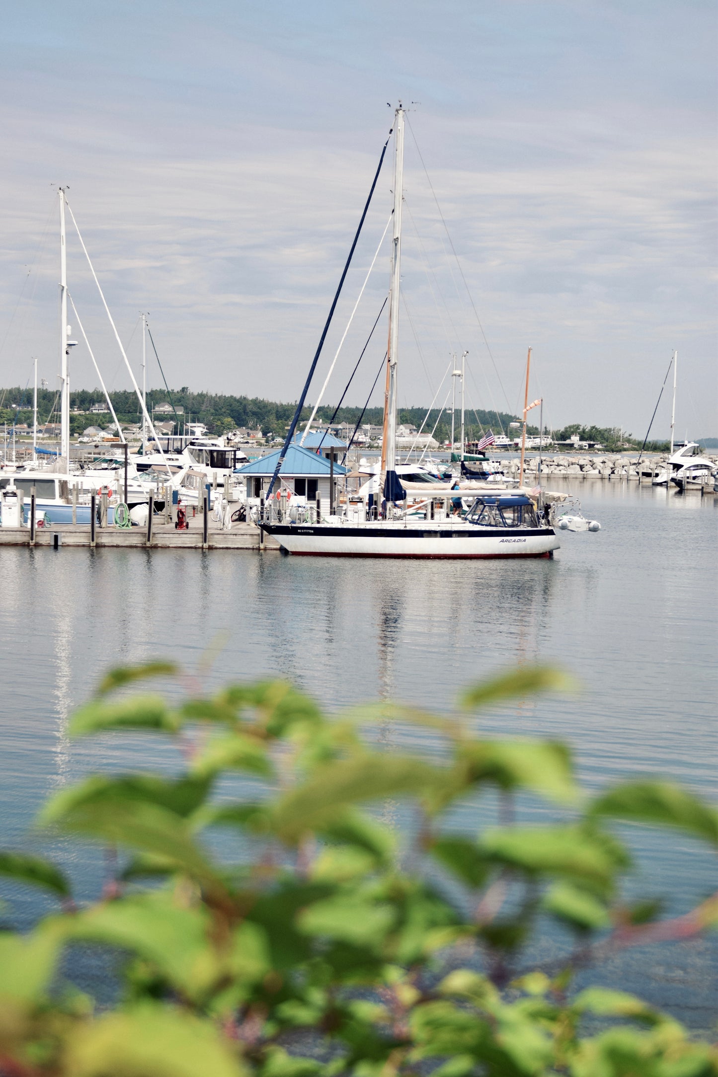 Sail Michigan