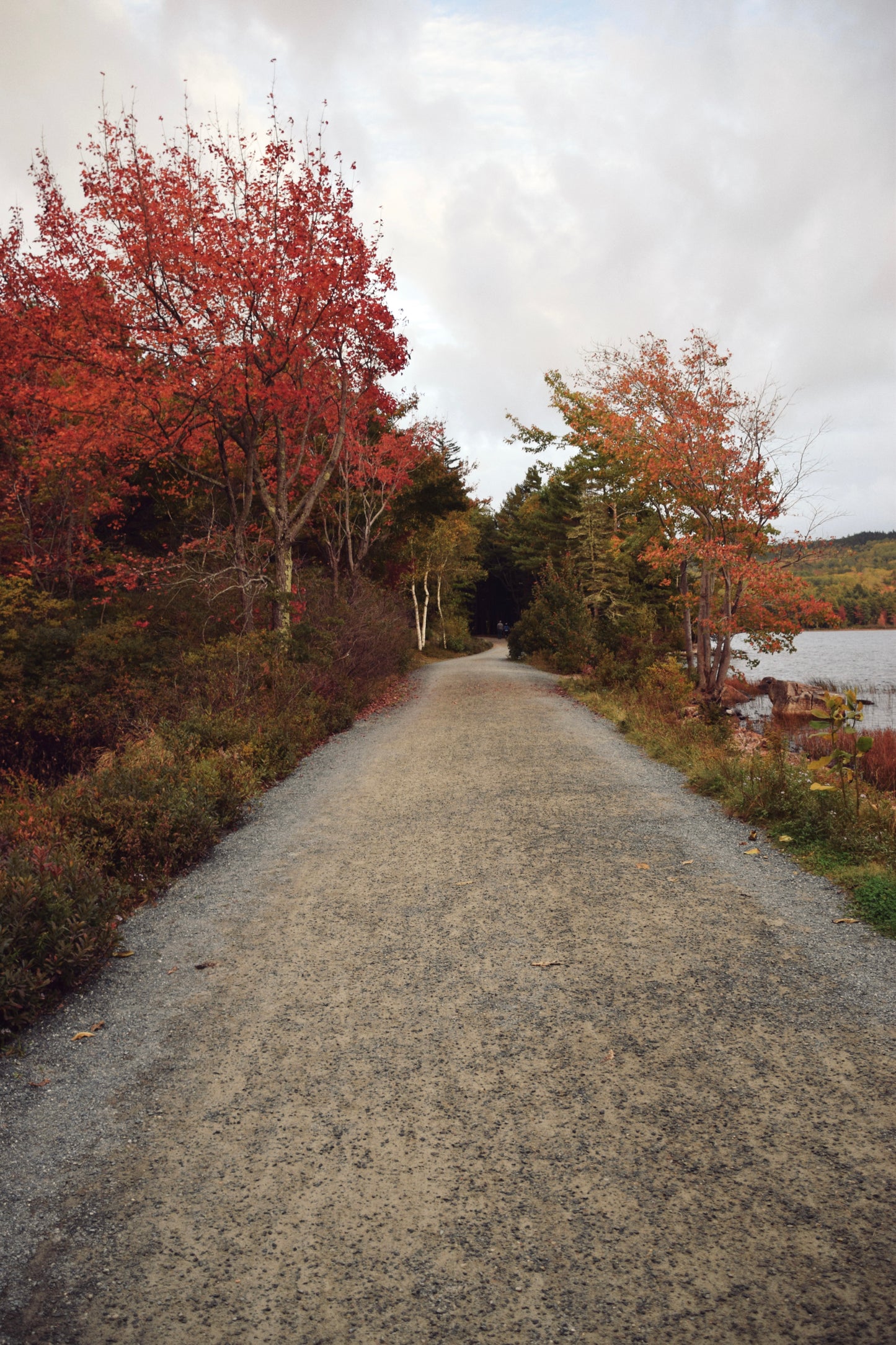 Path To Autumn