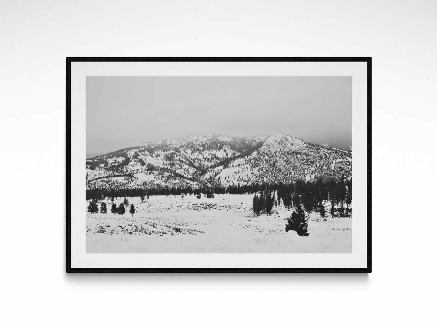 Snow Drift