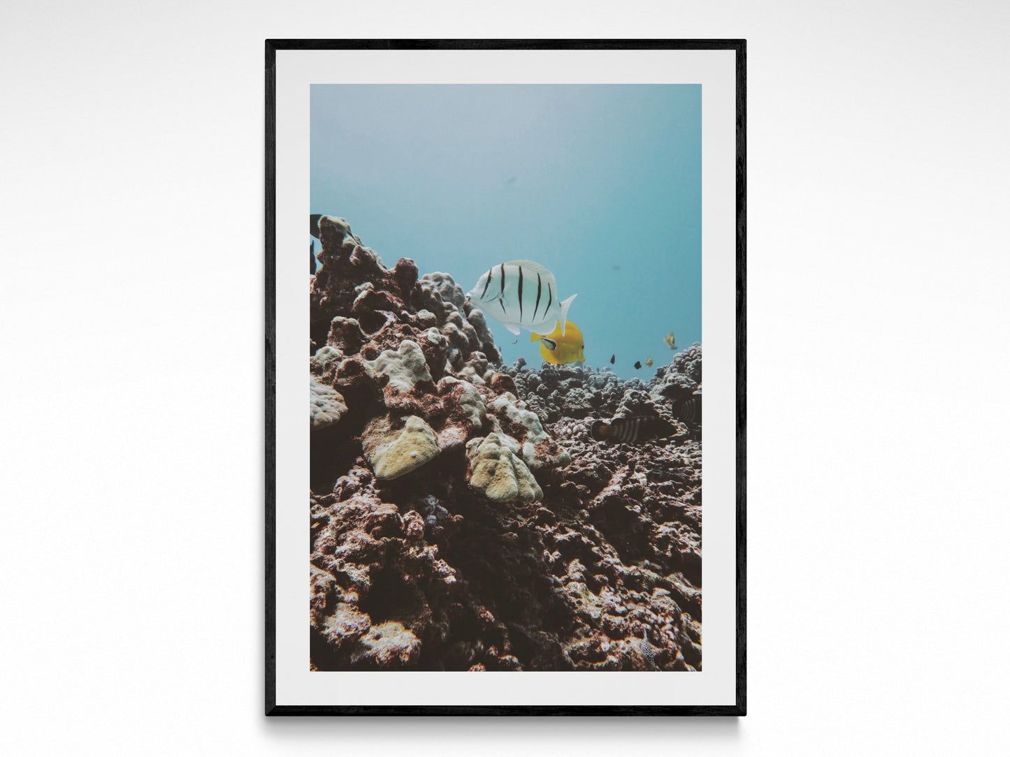 Tropical Underwater