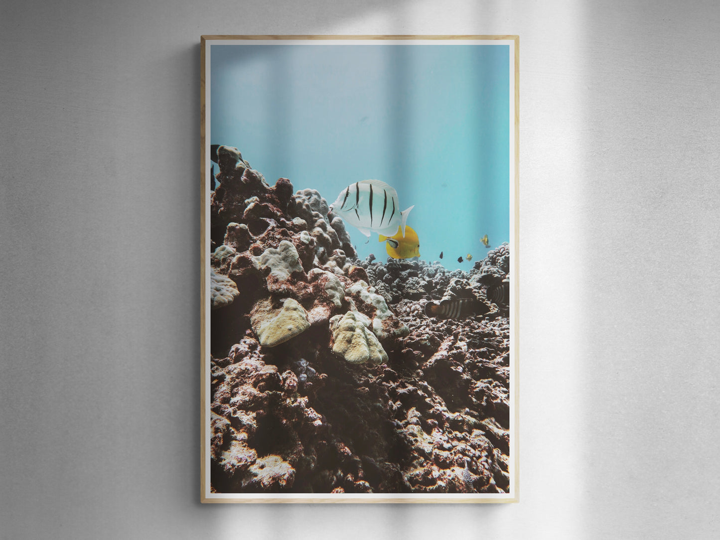 Tropical Underwater